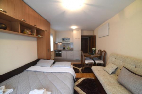 Studio Vienna Vrnjačka Banja